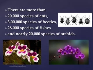  There are more than
 20,000 species of ants,
 3,00,000 species of beetles,
 28,000 species of fishes
 and nearly 20,000 species of orchids.
 