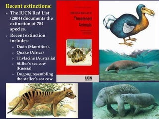 Recent extinctions:
 The IUCN Red List
(2004) documents the
extinction of 784
species.
 Recent extinction
includes:
 Dodo (Mauritius).
 Quake (Africa)
 Thylacine (Australia)
 Stiller’s sea cow
(Russia)
 Dugong resembling
the steller’s sea cow
 