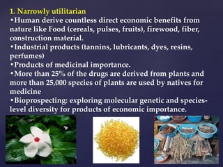 1. Narrowly utilitarian
•Human derive countless direct economic benefits from
nature like Food (cereals, pulses, fruits), firewood, fiber,
construction material.
•Industrial products (tannins, lubricants, dyes, resins,
perfumes)
•Products of medicinal importance.
•More than 25% of the drugs are derived from plants and
more than 25,000 species of plants are used by natives for
medicine
•Bioprospecting: exploring molecular genetic and species-
level diversity for products of economic importance.
 