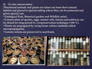II. Ex situ conservation:
Threatened animals and plants are taken out from their natural
habitat and placed in special setting where they can be protected and
given special care.
•Zoological Park, Botanical garden and Wildlife safari.
•Conservation of sperms, eggs, animal cells, tissues and embryos can
be stored for long period by cryopreservation technique (-196o C).
•Plants are propagated by using tissue culture methods called
micropropagation.
•Genetic strains are preserved in seed bank.
 