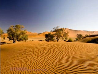 muralishingri@gmail.com
https://scientifickoppal.wixsite.com/muralidhar-shingri
 