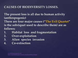 CAUSES OF BIODIVERSITY LOSSES.
The present loss is all due to human activity
(anthropogenic)
There are four major causes (“The Evil Quartet”
is the sobriquet used to describe them) are as
follows:
1. Habitat loss and fragmentation
2. Over-exploitation
3. Alien species invasion
4. Co-extinction
muralishingri@gmail.com
https://scientifickoppal.wixsite.com/muralidhar-shingri
 