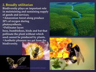 2. Broadly utilitarian
Biodiversity plays an important role
in maintaining and sustaining supply
of goods and services.
•Amazonian forest along produce
20% of oxygen during
photosynthesis.
•Pollinator layer:
bees, bumblebees, birds and bat that
pollinate the plant without which
seed cannot be produced by plants.
•Aesthetic pleasure we get from the
biodiversity.
muralishingri@gmail.com
https://scientifickoppal.wixsite.com/muralidhar-shingri
 