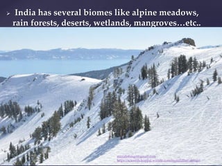  India has several biomes like alpine meadows,
rain forests, deserts, wetlands, mangroves…etc..
muralishingri@gmail.com
https://scientifickoppal.wixsite.com/muralidhar-shingri
 