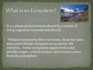 Ecosystem Simplification Biodiversity and ecosystems loss | PPTX