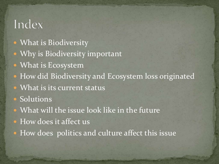 the loss of biodiversity and heritage But the world is experiencing a dramatic loss of biodiversity world bank biodiversity projects range south africa’s largest estuary and a world heritage. the loss of biodiversity and heritage But the world is experiencing a dramatic loss of biodiversity world bank biodiversity projects range south africa’s largest estuary and a world heritage.