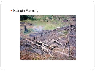  Kaingin Farming
 