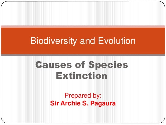 Biodiversity and Evolution