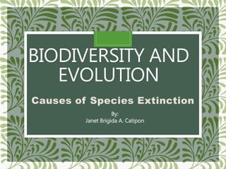 BIODIVERSITY AND
EVOLUTION
Causes of Species Extinction
By:
Janet Brigida A. Catipon
 