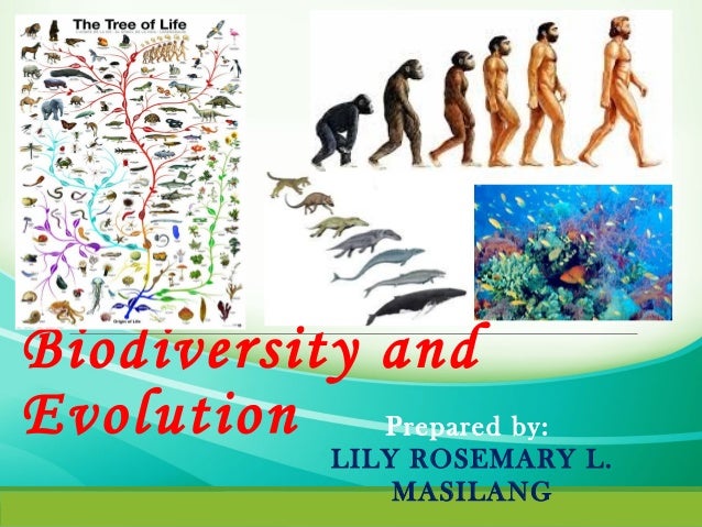 Biodiversity Ppt Template Biodiversity Plants Parts Of A Plant Botany