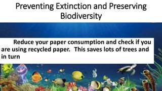 Biodiversity and evolution | PPTX