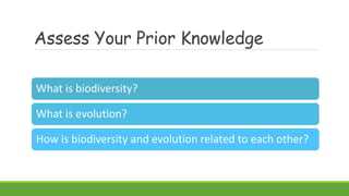 Assess Your Prior Knowledge
What is biodiversity?
What is evolution?
How is biodiversity and evolution related to each other?
 