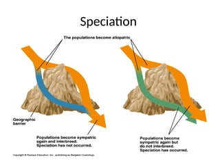 Speciation
 