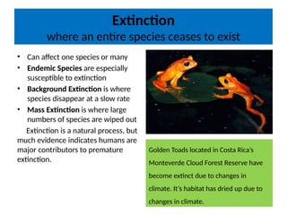 Extinction
where an entire species ceases to exist
• Can affect one species or many
• Endemic Species are especially
susceptible to extinction
• Background Extinction is where
species disappear at a slow rate
• Mass Extinction is where large
numbers of species are wiped out
Extinction is a natural process, but
much evidence indicates humans are
major contributors to premature
extinction.
Golden Toads located in Costa Rica’s
Monteverde Cloud Forest Reserve have
become extinct due to changes in
climate. It’s habitat has dried up due to
changes in climate.
 