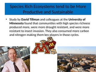 Species Rich Ecosystems tend to be More
Productive and Sustainable
• Study by David Tillman and colleagues at the University of
Minnesota found that communities with high species richness
produced more, were more drought resistant, and were more
resistant to insect invasion. They also consumed more carbon
and nitrogen making them key players in those cycles.
 