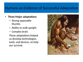Humans as Evidence of Successful Adaptation
• Three Major adaptations
– Strong opposable
thumbs
– Ability to walk upright
– Complex brain
These adaptations helped
us develop technologies,
tools, and devices, to help
our survival.
 