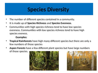 Species Diversity
• The number of different species contained in a community.
• It is made up of Species Richness and Species Evenness.
• Communities with high species richness tend to have low species
evenness. Communities with low species richness tend to have high
species eveness.
Examples:
• Tropical Rainforests have high many different species but there are only a
few numbers of those species
• Aspen Forests have a few different plant species but have large numbers
of those species.
 