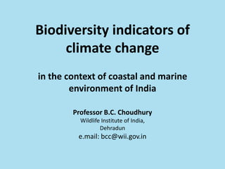 Biodiversity indicators of climate changein the context of coastal and marine environment of IndiaProfessor B.C. ChoudhuryWildlife Institute of India,Dehradune.mail: bcc@wii.gov.in 