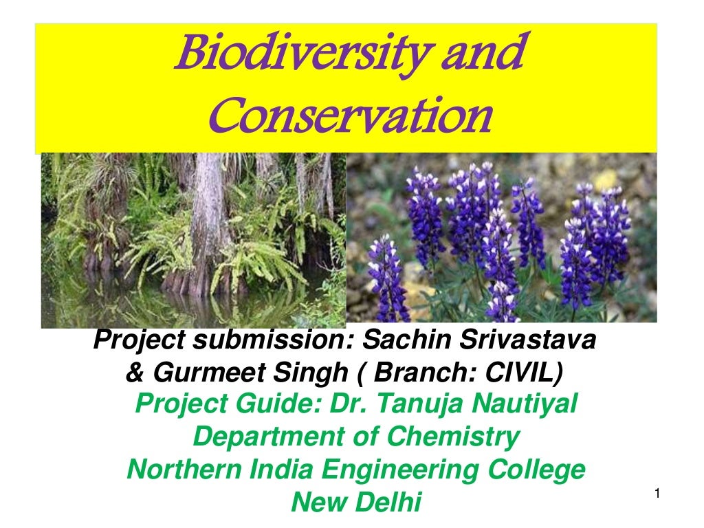 assignment of biodiversity