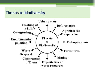 Biodiversity and its conservation | PDF
