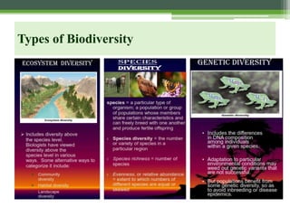 Biodiversity and its conservation | PDF