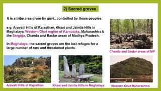 2) Sacred groves
e.g. Aravalli Hills of Rajasthan, Khasi and Jaintia Hills in
Meghalaya, Western Ghat region of Karnataka, Maharashtra &
the Sarguja, Chanda and Bastar areas of Madhya Pradesh.
In Meghalaya, the sacred groves are the last refuges for a
large number of rare and threatened plants.
It is a tribe area given by govt., controlled by those peoples.
Aravalli Hills of Rajasthan Khasi and Jaintia Hills in Meghalaya Western Ghat Maharashtra
Chanda and Bastar areas of MP
 