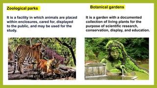 Zoological parks
It is a facility in which animals are placed
within enclosures, cared for, displayed
to the public, and may be used for the
study.
Botanical gardens
It is a garden with a documented
collection of living plants for the
purpose of scientific research,
conservation, display, and education.
 