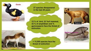 Steller's sea cow
12 % of bird, 23 %of mammal,
32 % of amphibian and %
gymnosperm face the threat of
extinction
27 species disappeared
in the last 20 years
> 15,500 species face the
threat of extinction
 