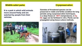Wildlife safari parks
It is a park in which wild animals
move around freely and are
watched by people from their
vehicles.
Cryopreservation
Gametes of threatened species can be
preserved in viable and fertile condition for long
periods using cryopreservation techniques,
in a deep freeze at -196°C temperatures, in liq.
N2. eggs can be fertilized in vitro, Plants can be
propagated using tissue culture methods.
 
