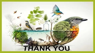 biodiversity and its conservation part  2 ecology