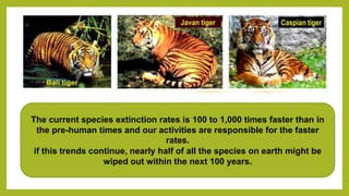 The current species extinction rates is 100 to 1,000 times faster than in
the pre-human times and our activities are responsible for the faster
rates.
if this trends continue, nearly half of all the species on earth might be
wiped out within the next 100 years.
 