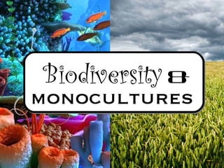 Biodiversity   &   monocultures 