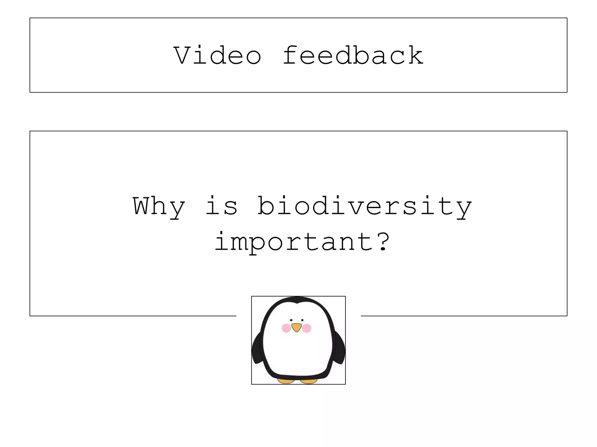 Why is biodiversity
important?
Video feedback
 