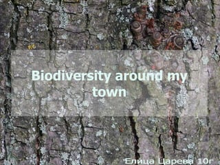 Biodiversity around my town Елица Царева 10г 