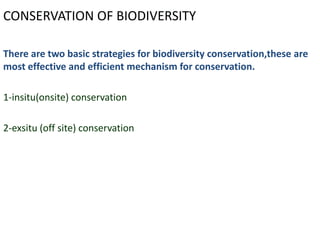 CONSERVATION OF BIODIVERSITY

There are two basic strategies for biodiversity conservation,these are
most effective and efficient mechanism for conservation.

1-insitu(onsite) conservation

2-exsitu (off site) conservation
 