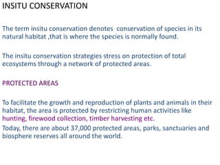 INSITU CONSERVATION

The term insitu conservation denotes conservation of species in its
natural habitat ,that is where the species is normally found.

The insitu conservation strategies stress on protection of total
ecosystems through a network of protected areas.

PROTECTED AREAS

To facilitate the growth and reproduction of plants and animals in their
habitat, the area is protected by restricting human activities like
hunting, firewood collection, timber harvesting etc.
Today, there are about 37,000 protected areas, parks, sanctuaries and
biosphere reserves all around the world.
 