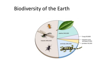 Biodiversity of the Earth
 