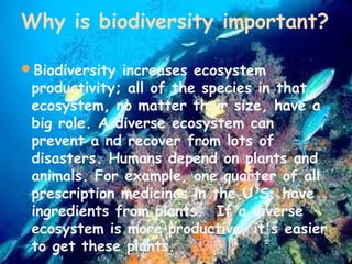 Why is biodiversity important?
Biodiversity increases ecosystem

productivity; all of the species in that
ecosystem, no matter their size, have a
big role. A diverse ecosystem can
prevent a nd recover from lots of
disasters. Humans depend on plants and
animals. For example, one quarter of all
prescription medicines in the U.S. have
ingredients from plants.  If a diverse
ecosystem is more productive, it's easier
to get these plants.

 