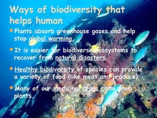 Ways of biodiversity that
helps human
Plants absorb greenhouse gases and help

stop global warming.

It is easier for biodiverse ecosystems to

recover from natural disasters.

Healthy biodiversity of species can provide

a variety of food (like meat and produce). 

Many of our medicinal drugs come from

plants.

 