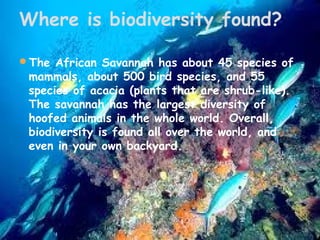 Where is biodiversity found?
The African Savannah has about 45 species of

mammals, about 500 bird species, and 55
species of acacia (plants that are shrub-like).
The savannah has the largest diversity of
hoofed animals in the whole world. Overall,
biodiversity is found all over the world, and
even in your own backyard.   

 