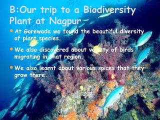 B:Our trip to a Biodiversity
Plant at Nagpur
At Gorewada we found the beautiful diversity

of plant species.

We also discovered about variety of birds

migrating in that region.

We also learnt about various spices that they

grow there.

 