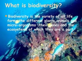 What is biodiversity?
Biodiversity is the variety of all life

forms:the different plants,animals and
micro-organisms ,their genes and the
ecosystems of which they are a part.

 