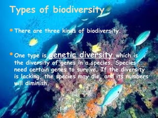 Types of biodiversity
There are three kinds of biodiversity.

One type is

genetic diversity

which is
the diversity of genes in a species. Species
need certain genes to survive. If the diversity
is lacking, the species may die, and its numbers
will diminish.

 