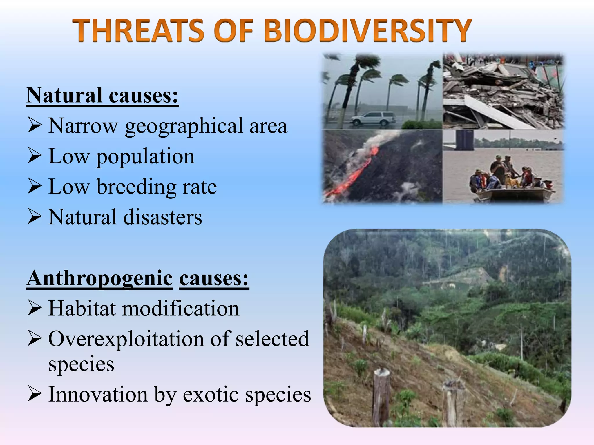 Natural causes:
 Narrow geographical area
 Low population
 Low breeding rate
 Natural disasters
Anthropogenic causes:
 Habitat modification
 Overexploitation of selected
species
 Innovation by exotic species
 