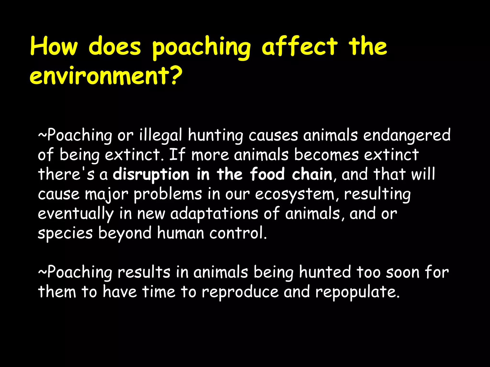 How does poaching affect the
environment?
~Poaching or illegal hunting causes animals endangered
of being extinct. If more animals becomes extinct
there's a disruption in the food chain, and that will
cause major problems in our ecosystem, resulting
eventually in new adaptations of animals, and or
species beyond human control.
~Poaching results in animals being hunted too soon for
them to have time to reproduce and repopulate.
 