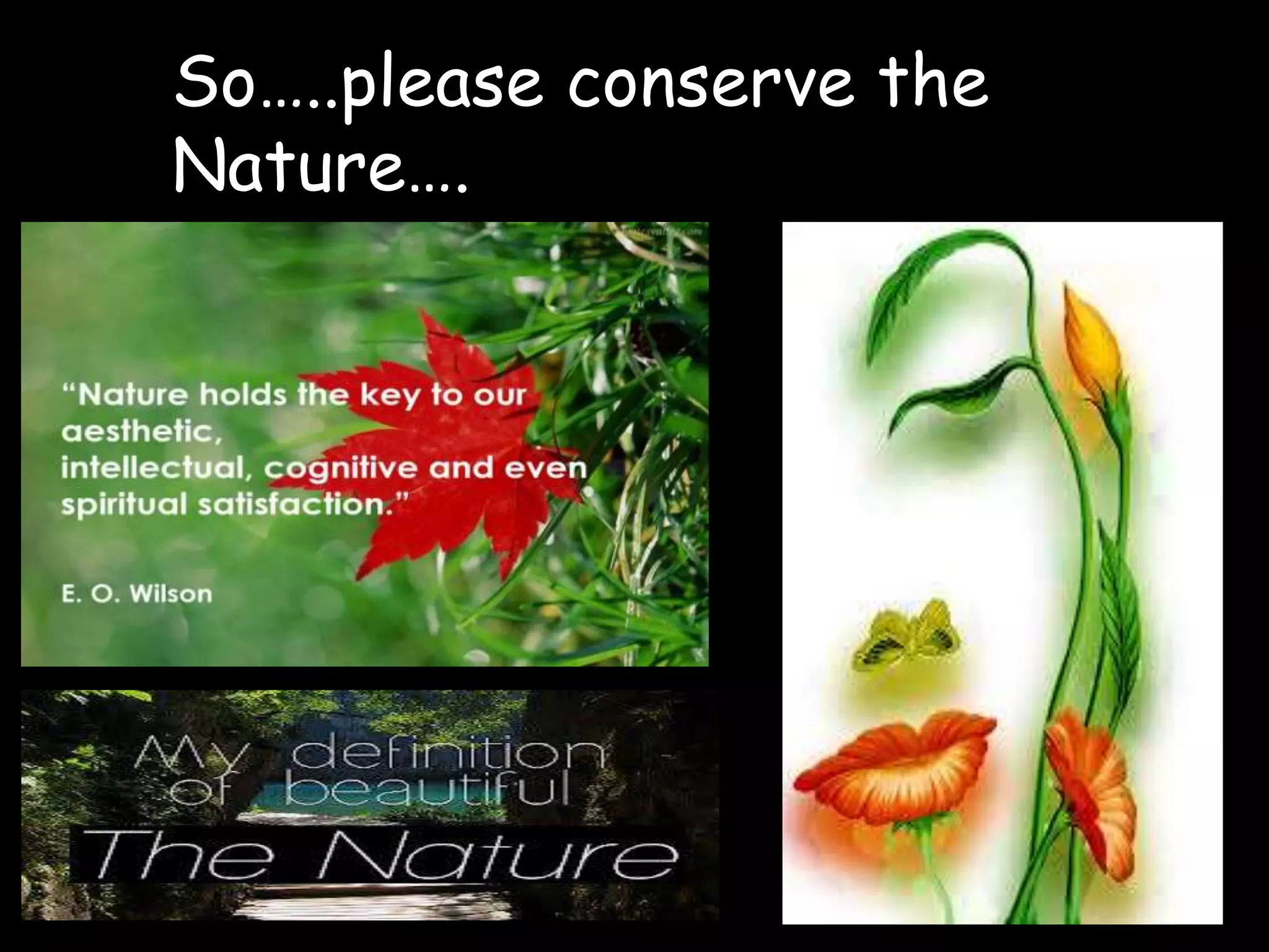 So…..please conserve the
Nature….
 