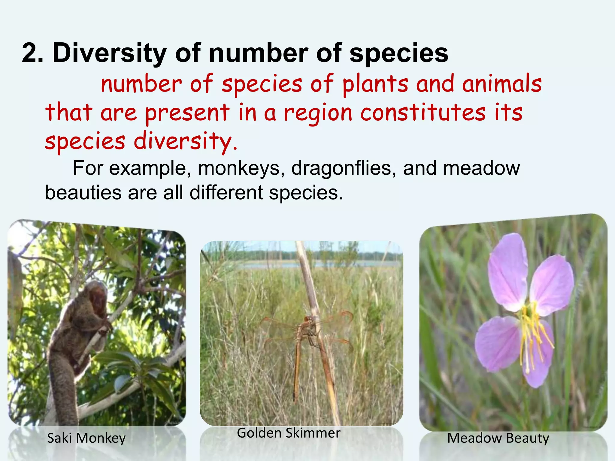 2. Diversity of number of species
number of species of plants and animals
that are present in a region constitutes its
species diversity.
For example, monkeys, dragonflies, and meadow
beauties are all different species.
Saki Monkey Golden Skimmer Meadow Beauty
 