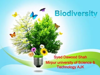 Syed Dawood Shah
Mirpur university of Science &
Technology AJK
 