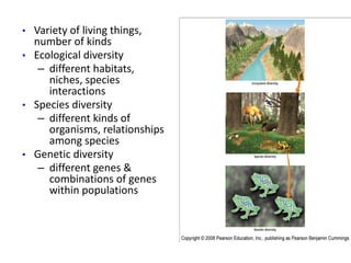 • Variety of living things,
number of kinds
• Ecological diversity
– different habitats,
niches, species
interactions
• Species diversity
– different kinds of
organisms, relationships
among species
• Genetic diversity
– different genes &
combinations of genes
within populations
 