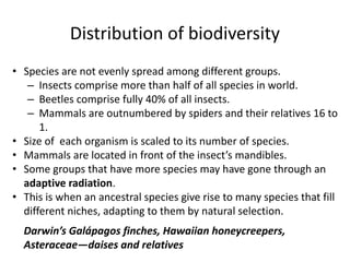 Distribution of biodiversity
• Species are not evenly spread among different groups.
– Insects comprise more than half of all species in world.
– Beetles comprise fully 40% of all insects.
– Mammals are outnumbered by spiders and their relatives 16 to
1.
• Size of each organism is scaled to its number of species.
• Mammals are located in front of the insect’s mandibles.
• Some groups that have more species may have gone through an
adaptive radiation.
• This is when an ancestral species give rise to many species that fill
different niches, adapting to them by natural selection.
Darwin’s Galápagos finches, Hawaiian honeycreepers,
Asteraceae—daises and relatives
 
